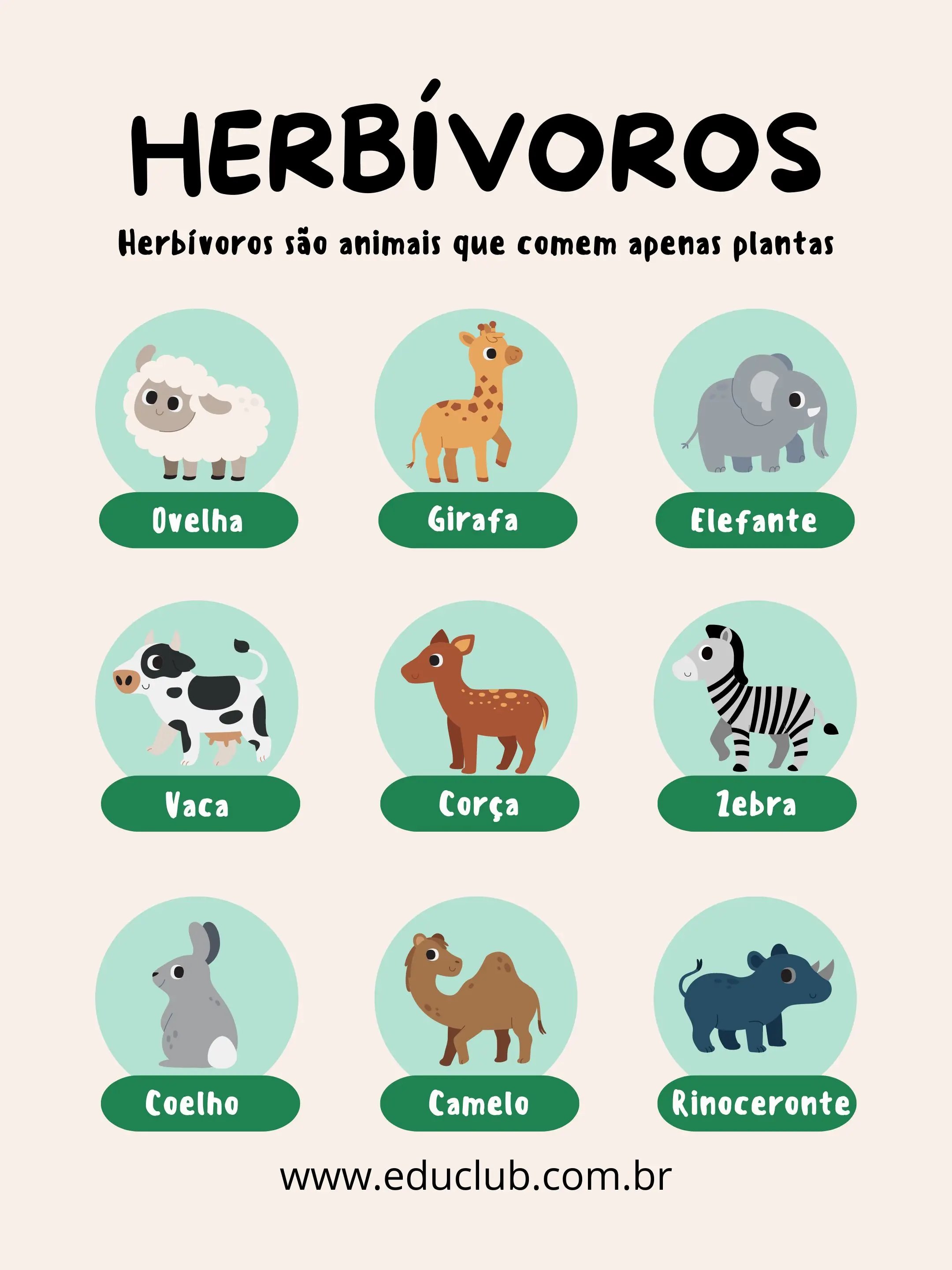 animais que comem plantas