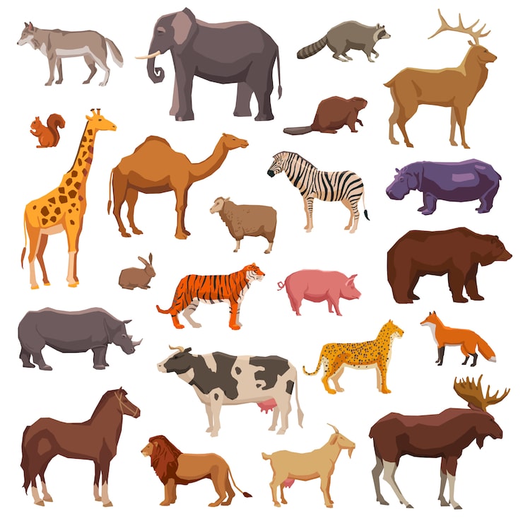 classificação de animais por alimentação