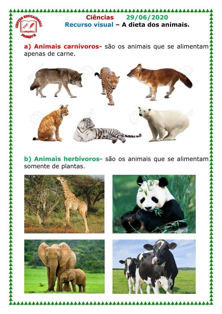 animais vegetarianos