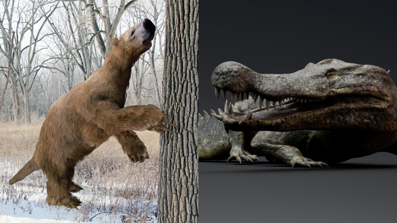 animais gigantes