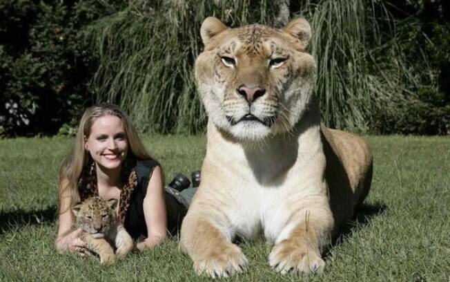 animais mais pesados do mundo