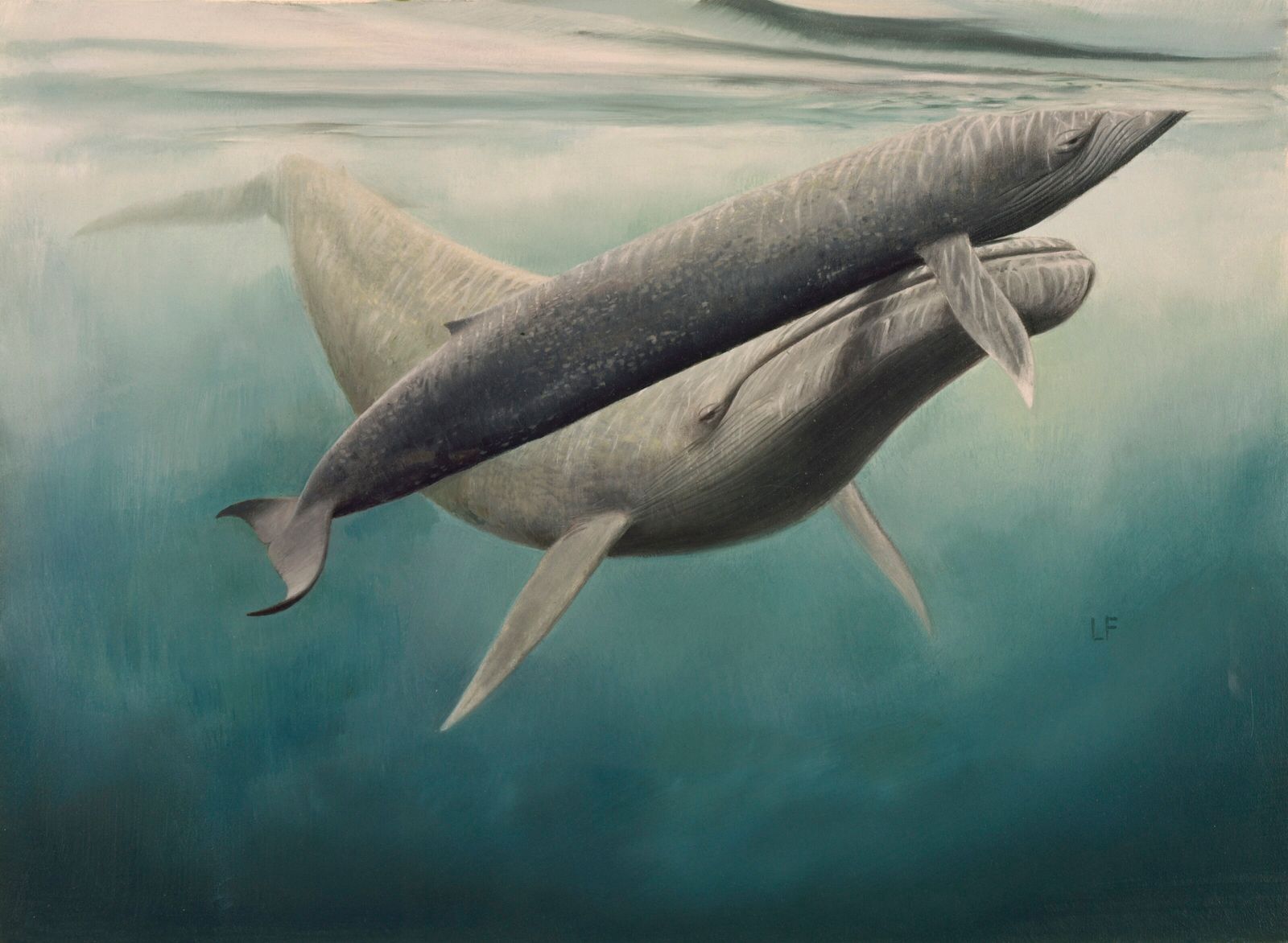 animais gigantes