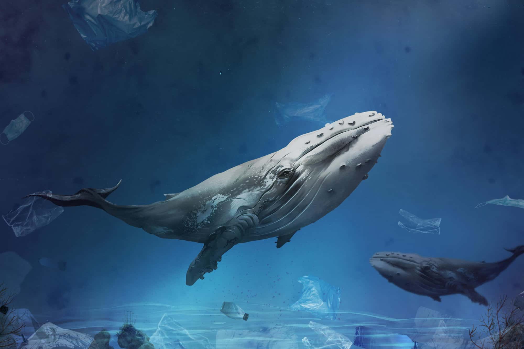 curiosidades animais gigantes