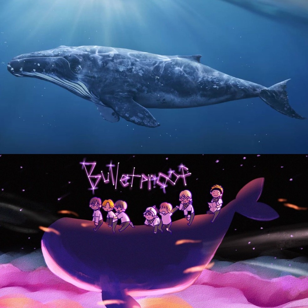 Como a Marinha dos EUA rastreia baleias solitárias