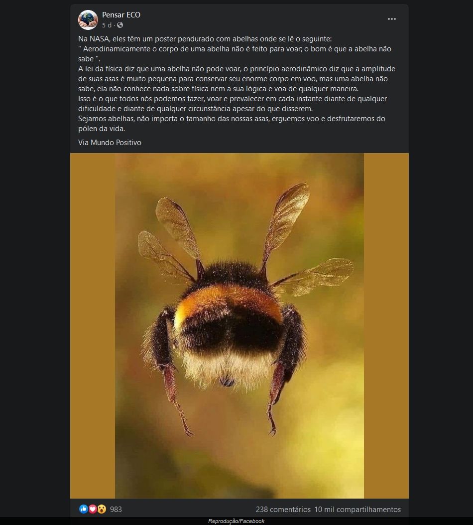 O Segredo da Orientação das Abelhas: Como a Luz Solar Guia Seus Voos Diurnos