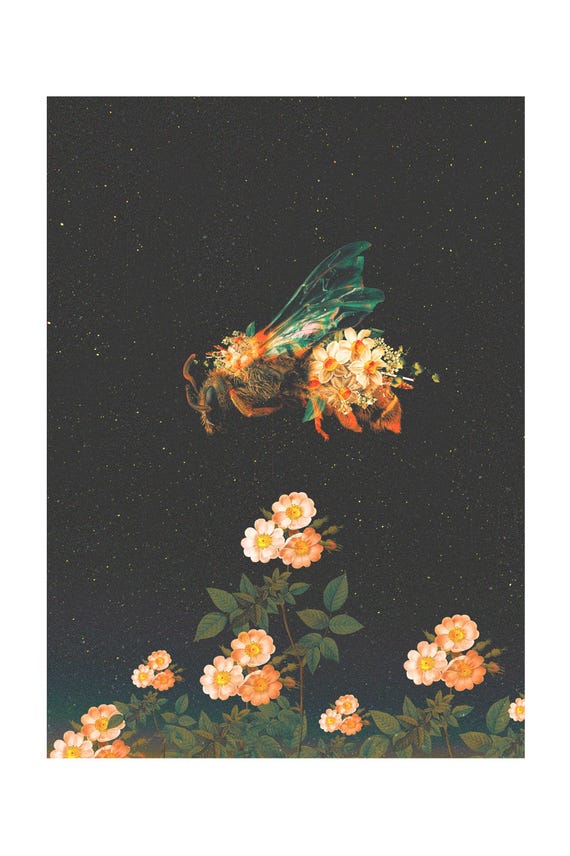 Luz Artificial e Abelhas: Os Perigos da Fototaxia Positiva para a Colmeia