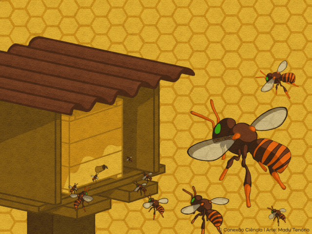 O Segredo da Orientação das Abelhas: Como a Luz Solar Guia Seus Voos Diurnos