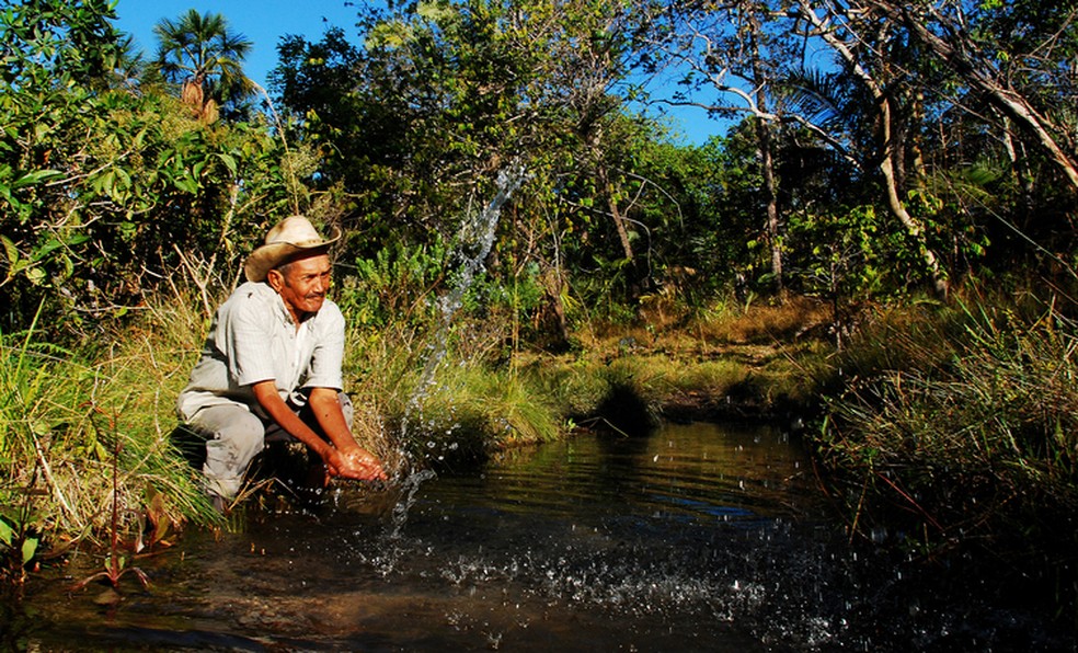 custo para adotar e recuperar uma nascente no tocantins