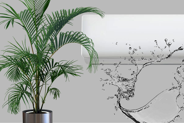 5 ideias de títulos:
1. Água do Ar Condicionado: Por Que Não Beber e Como Reutilizar com Segurança
2. Guia Completo: Usos Seguros para a Água Condensada do seu Ar
3. Os Perigos Ocultos na Água do Ar Condicionado: O Que Você Precisa Saber
4. Economia e Sustentabilidade: Reaproveitando a Água do Ar Condicionado em Casa
5. Ar Condicionado e Saúde: Entenda os Riscos da Água Condensada