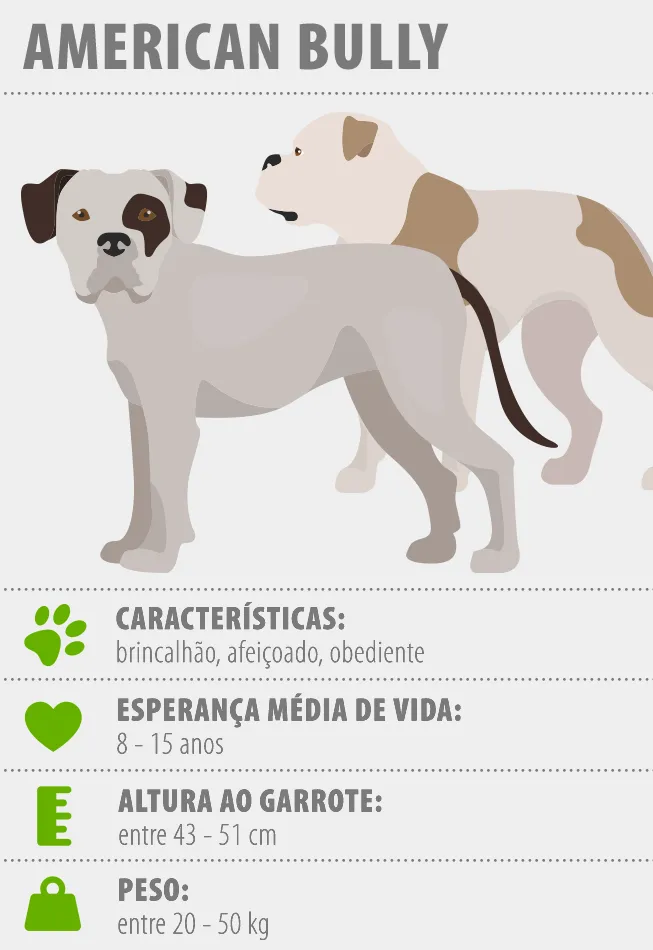 Guia Completo: Como Cuidar de um American Bully XL