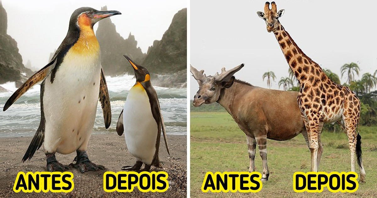 animais da pré-história