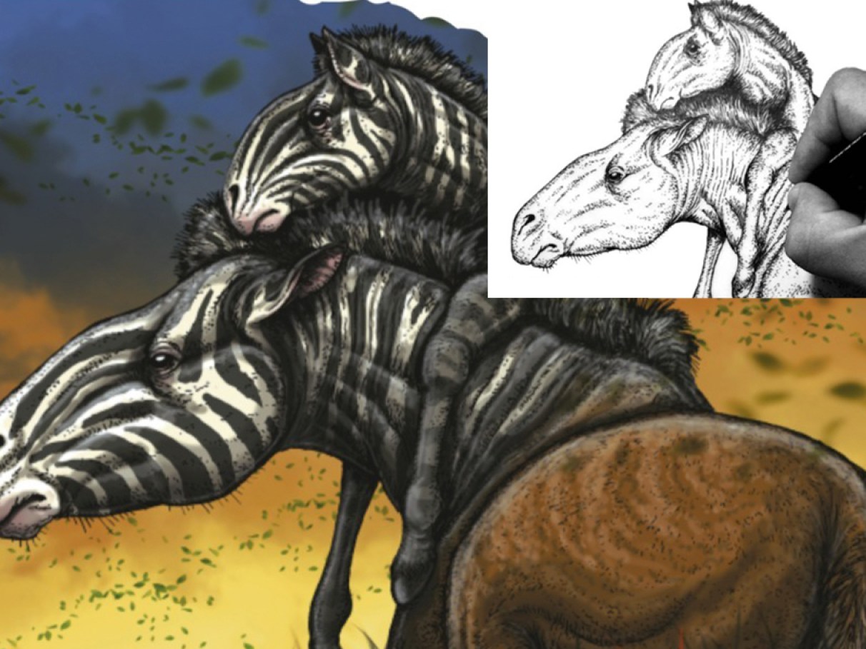 Fósseis Vivos: Animais Pré-Históricos Que Ainda Habitam a Terra