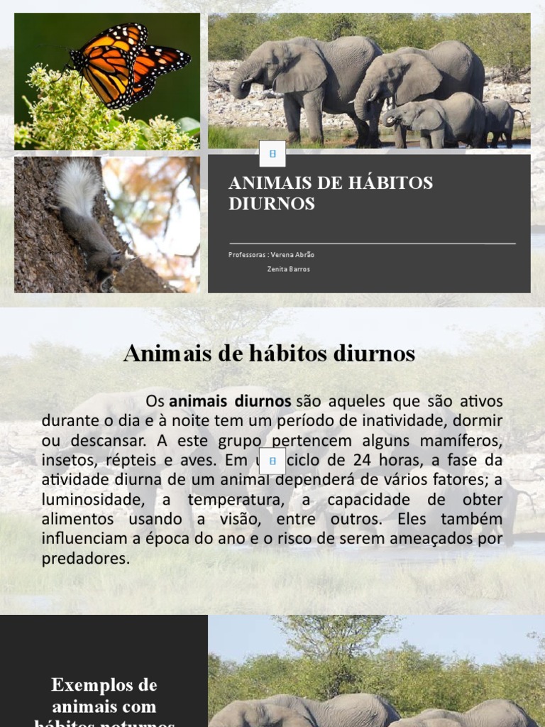 ciclo de vida animais diurnos