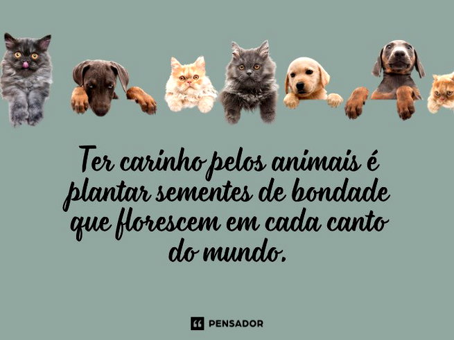 citações sobre animais