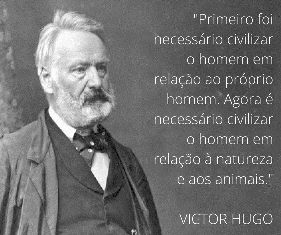 frases de amor aos bichos