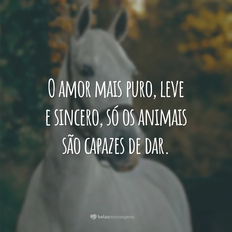 frases de grandes pensadores sobre animais