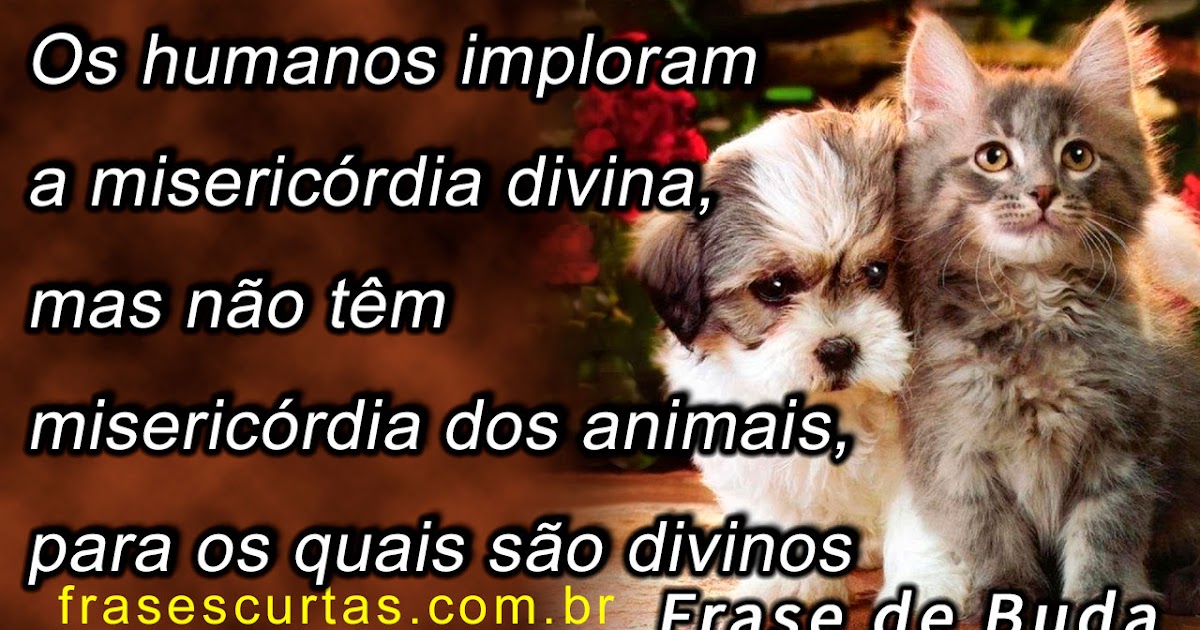 legendas para fotos de cachorro