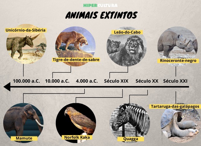 animais que desapareceram