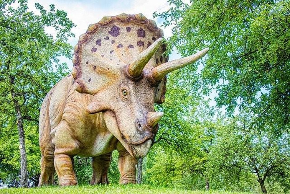 animais que sumiram da Terra