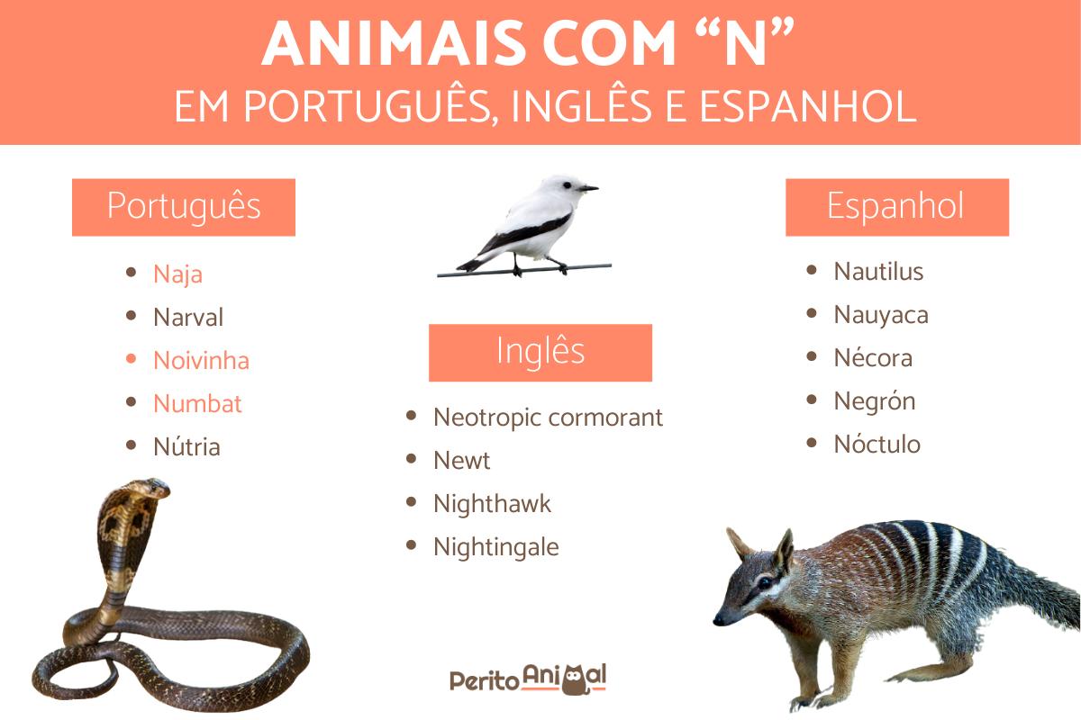 animal que começa com a letra n