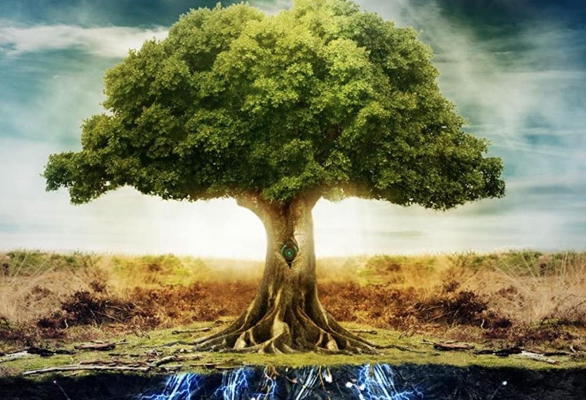 A Árvore da Vida na Cabala: Um Guia Completo