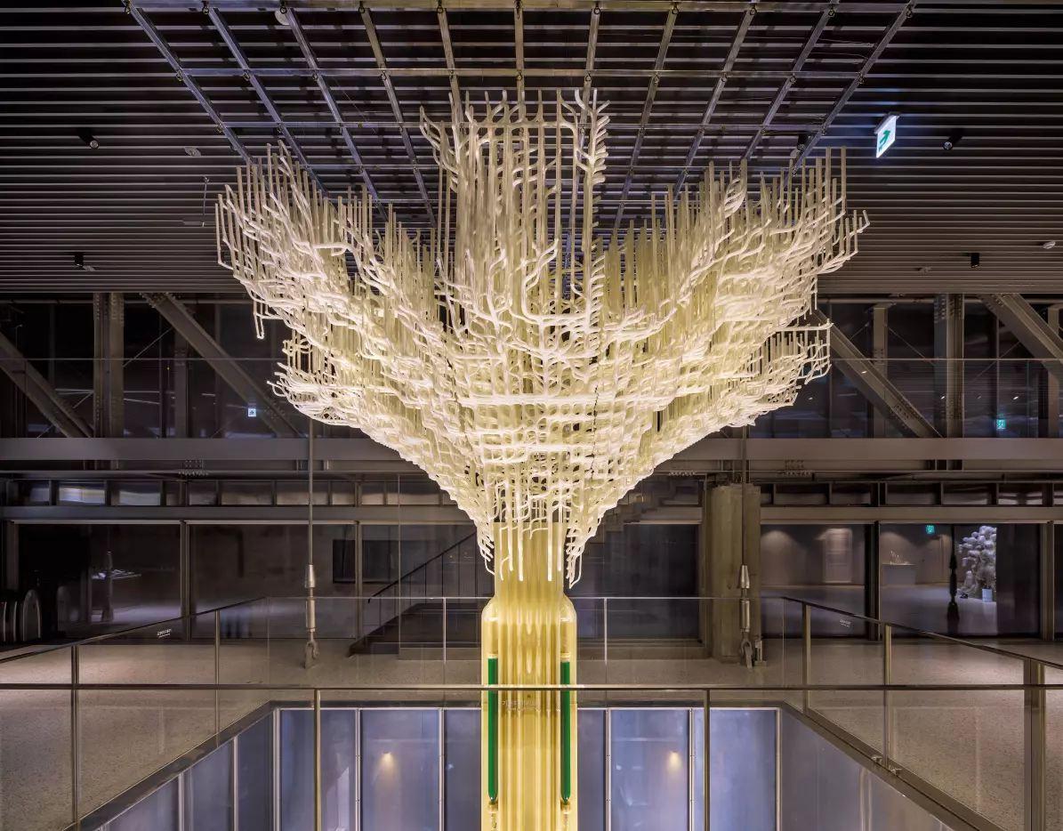 A Árvore da Vida na Cabala: Um Guia Completo