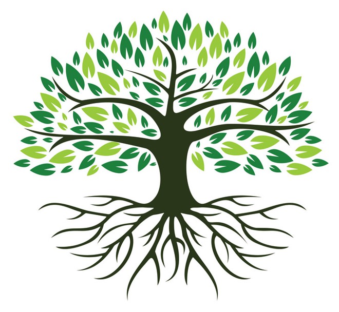 O Simbolismo da Árvore na Psicologia Analítica de Jung