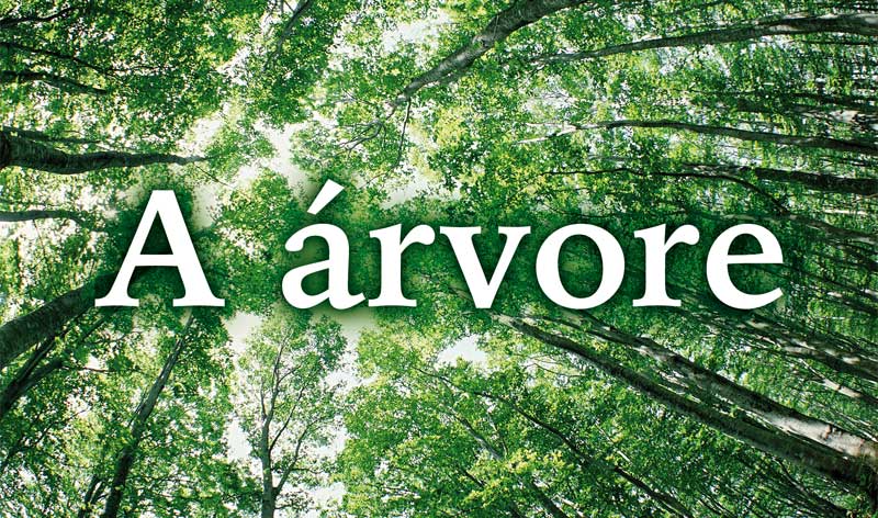 A Árvore da Vida na Cabala: Um Guia Completo