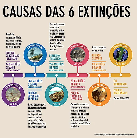 as 5 grandes extinções