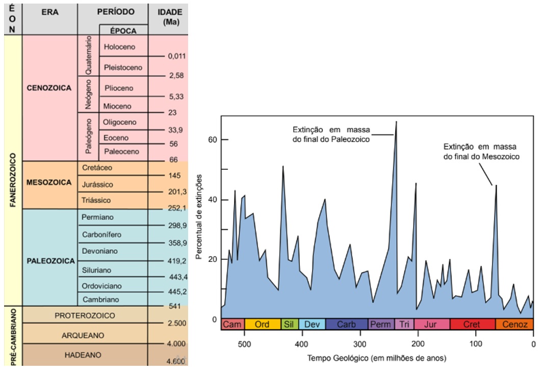 As 5 Maiores Extinções em Massa da Terra: Um Olhar Detalhado sobre Causas e Consequências