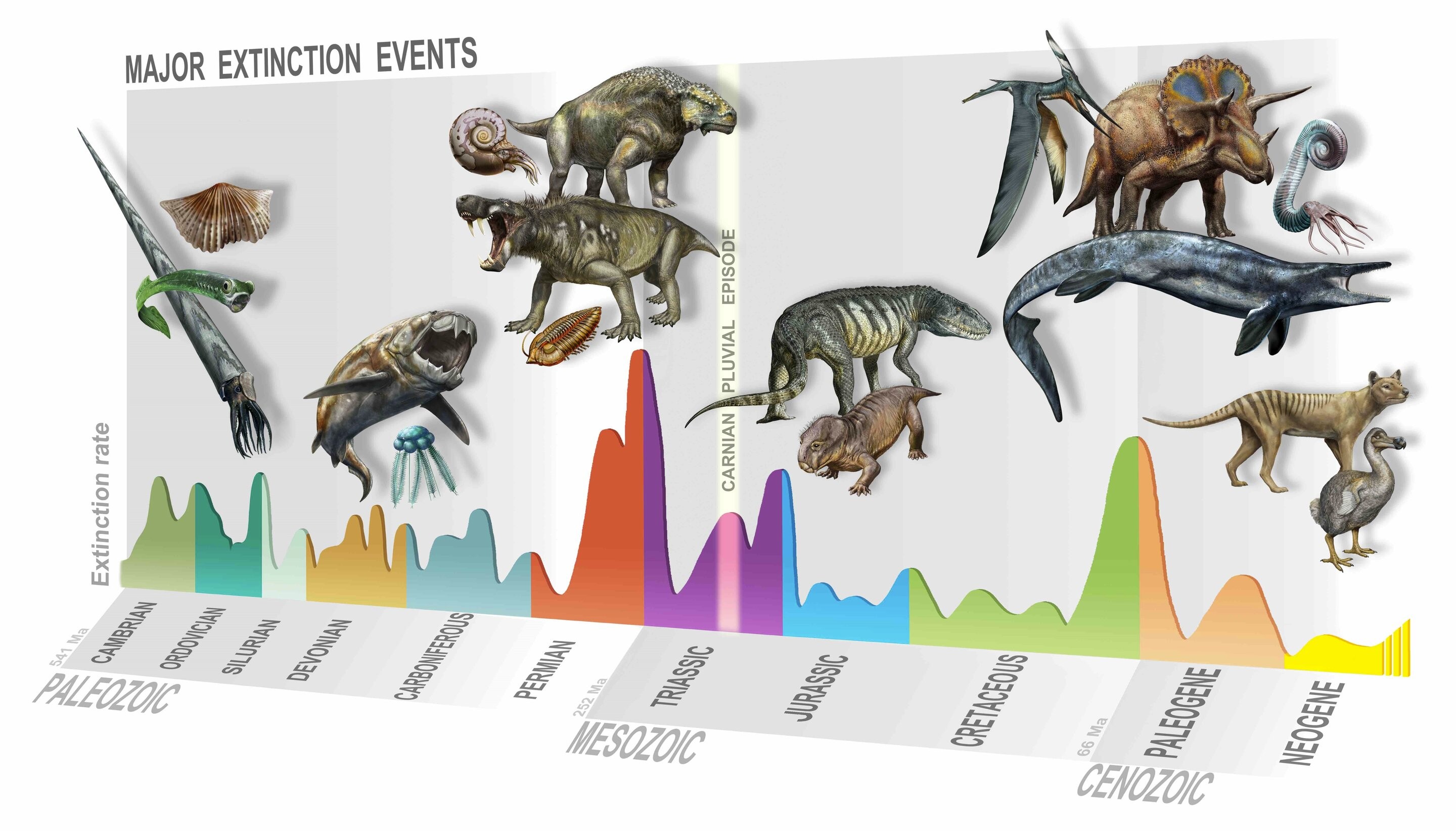 Estamos na Sexta Extinção? Analisando as Evidências e o Impacto Humano na Biodiversidade