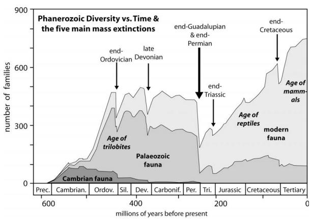 Da Era Glacial aos Asteroides: Entenda as Grandes Extinções que Moldaram a Vida no Planeta