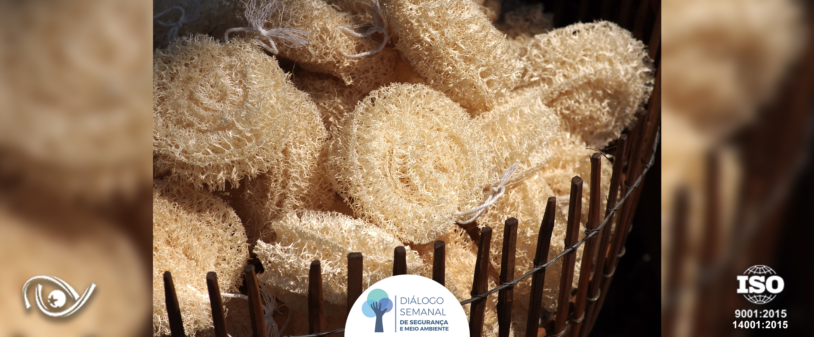 Como higienizar sua bucha vegetal para maior durabilidade