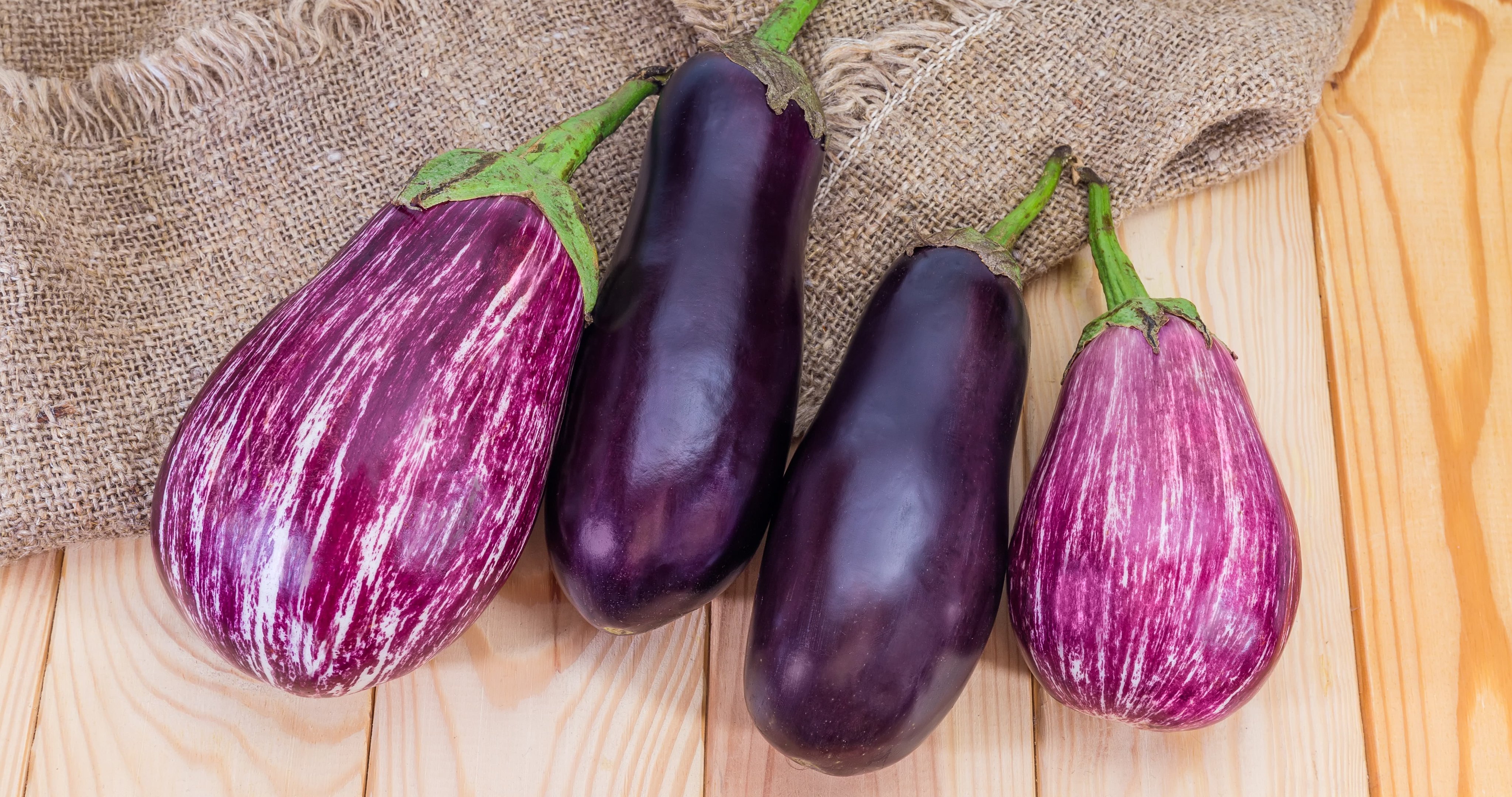 A Berinjela é Fruta ou Legume? Entenda a Classificação Botânica e Culinária