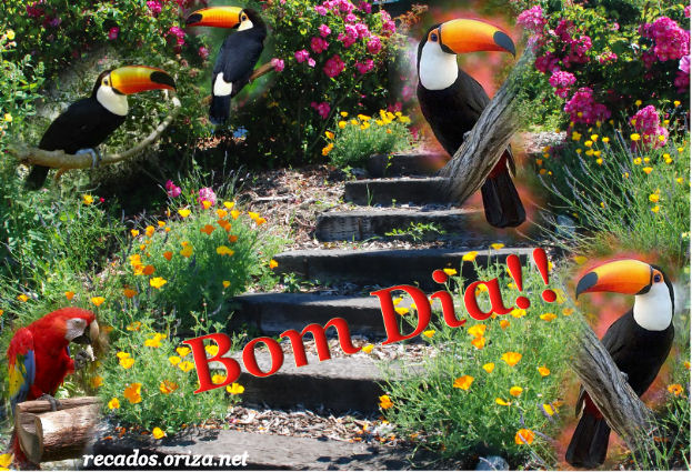 frases de bom dia para amantes da natureza