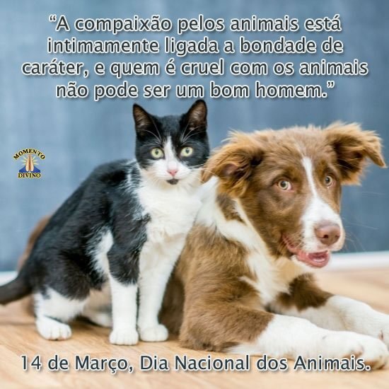 bom dia com animais fofos