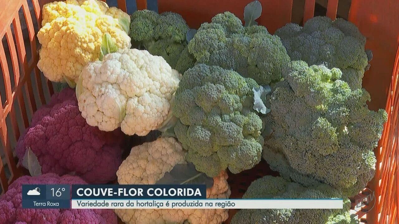 Brócolis de cabeça única vs. brócolis ramoso: Diferenças e usos