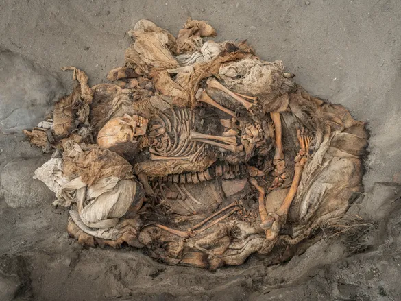 Kuru e Príons: Entenda os Riscos Biológicos do Canibalismo Humano