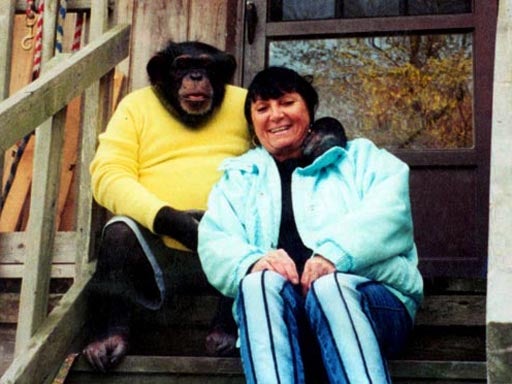 Transplante de Rosto de Charla Nash: Um Marco na Medicina e na Resiliência Humana