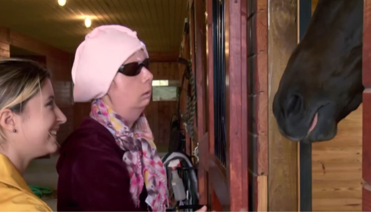 chimpanzé que atacou a amiga da dona