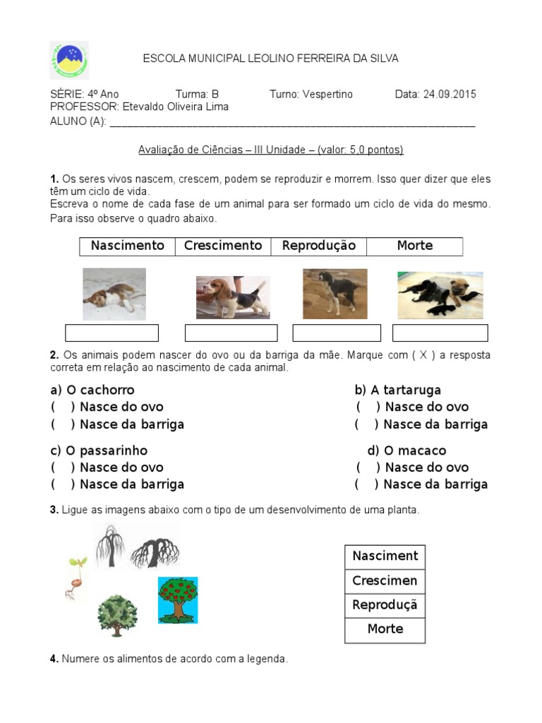 ciclo de vida dos animais 3 ano fundamental pdf