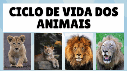 atividades ciclo de vida dos animais 3 ano
