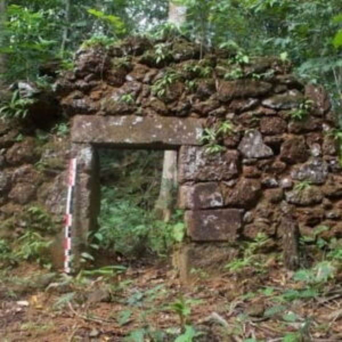 Guia Completo para Visitar Fordlândia: Dicas e Roteiros