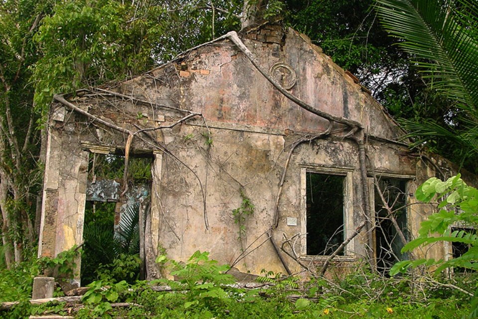 Guia Completo para Visitar Fordlândia: Dicas e Roteiros