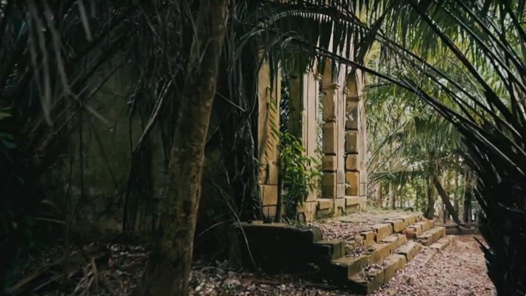 Velho Airão: Mergulho na História do Ciclo da Borracha