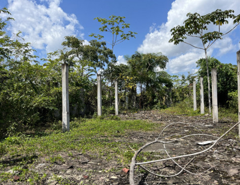 Velho Airão: Mergulho na História do Ciclo da Borracha