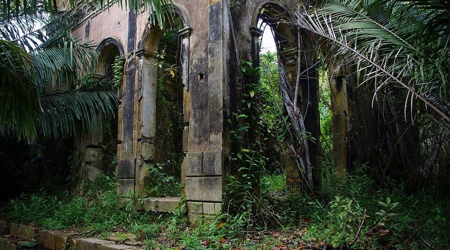 O Legado de Henry Ford na Amazônia: Além de Fordlândia
