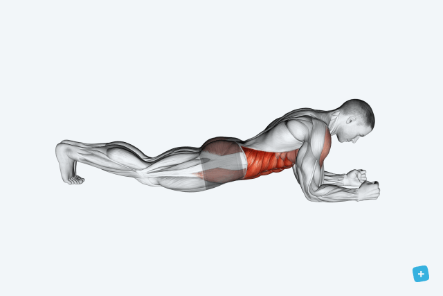 Alimentos Essenciais para Queimar Gordura Abdominal