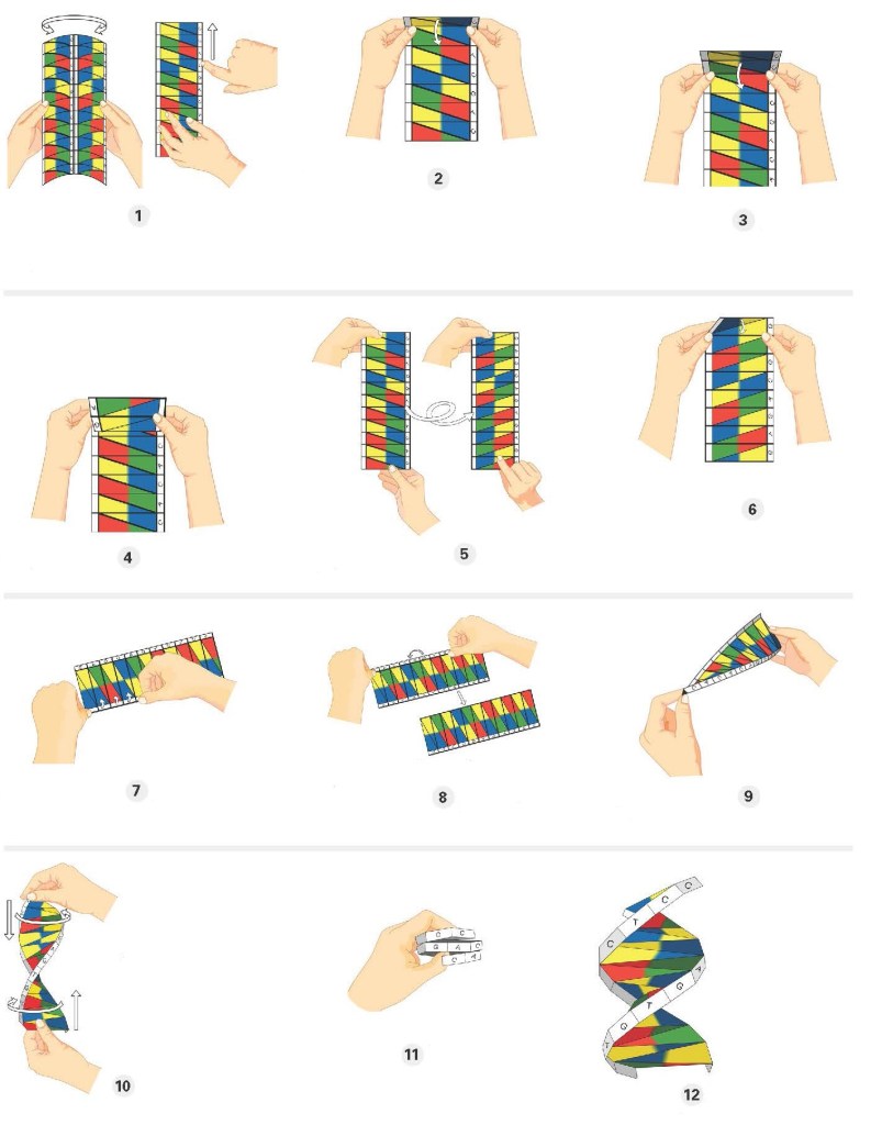 erros comuns ao coletar amostra de dna