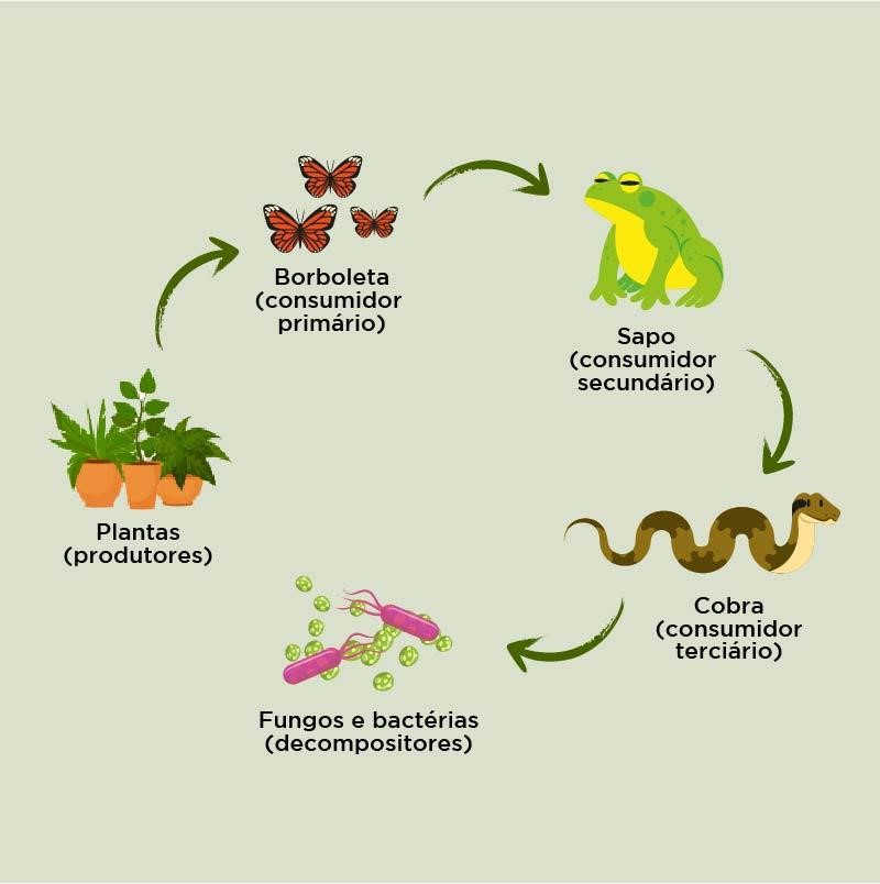 O impacto humano nas cadeias alimentares naturais